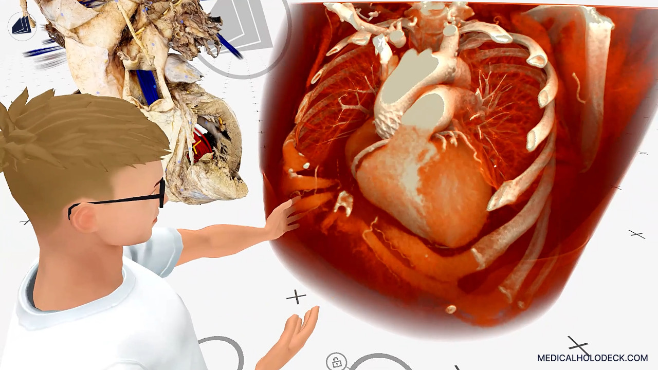 The human heart thumbnail 4